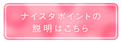ナイスタポイントの説明はこちら